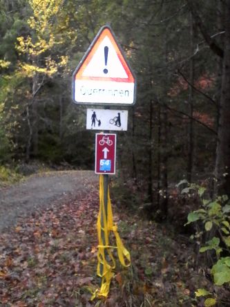IMG_20201029_164710.jpg