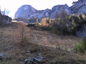 IMG_20201031_122356.jpg