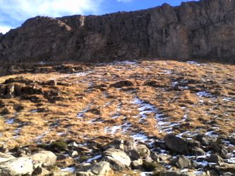 IMG_20201031_132805.jpg