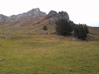 IMG_20201101_122542.jpg