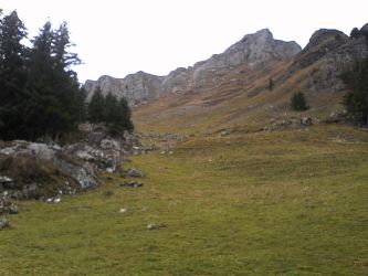 IMG_20201101_122551.jpg