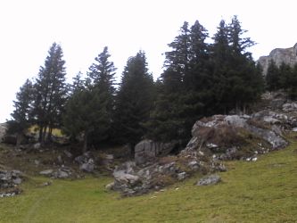 IMG_20201101_122559.jpg