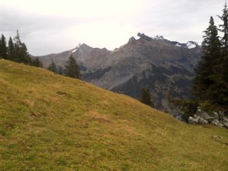 IMG_20201101_122612.jpg