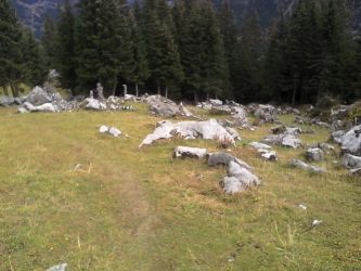 IMG_20201101_122848.jpg