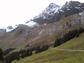 IMG_20201101_123804.jpg