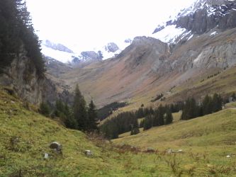 IMG_20201101_123811.jpg