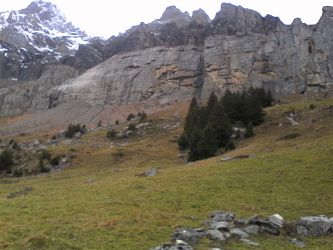 IMG_20201101_130014.jpg