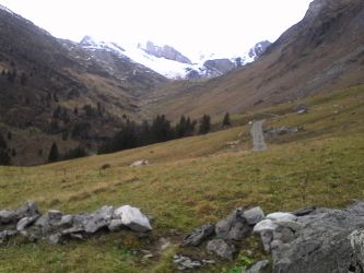 IMG_20201101_130025.jpg