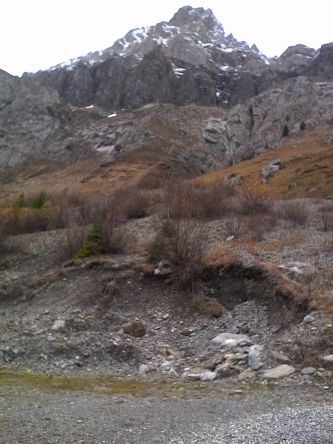 IMG_20201101_130745.jpg