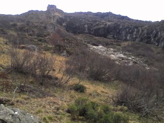 IMG_20201101_135505.jpg