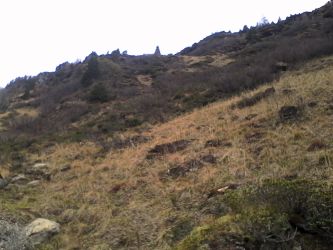 IMG_20201101_135518.jpg