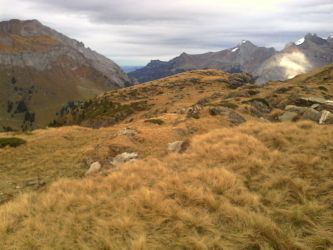 IMG_20201101_142018.jpg