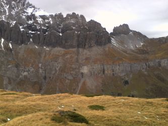 IMG_20201101_142026.jpg