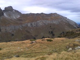 IMG_20201101_142036.jpg