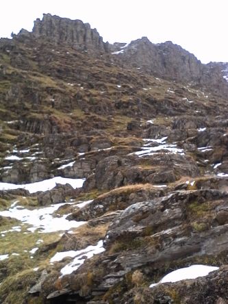 IMG_20201101_142046.jpg