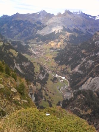 IMG_20201101_142811.jpg