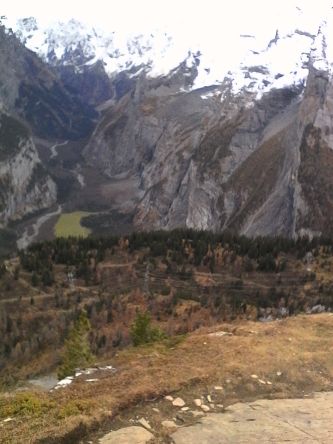 IMG_20201101_142841.jpg