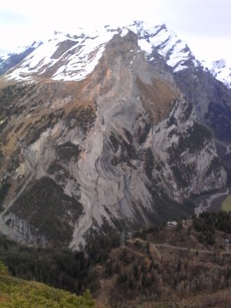 IMG_20201101_143257.jpg