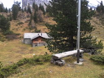 IMG_20201101_145647.jpg