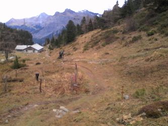 IMG_20201101_150155.jpg