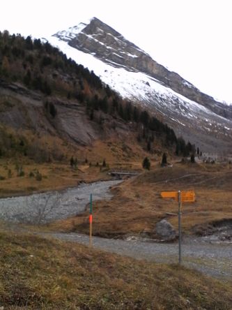 IMG_20201101_152101.jpg