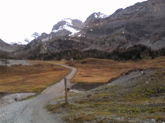 IMG_20201101_152112.jpg