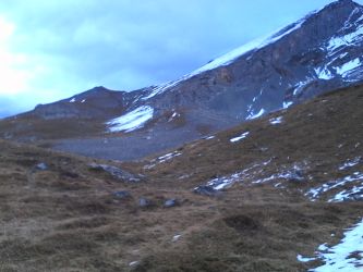 IMG_20201101_155946.jpg