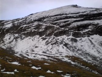 IMG_20201101_162012.jpg