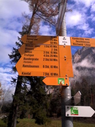 IMG_20201103_115722.jpg