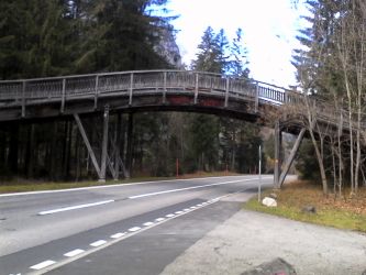 IMG_20201103_120022.jpg