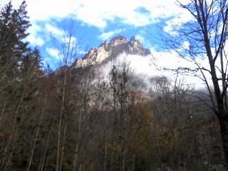 IMG_20201103_120036.jpg