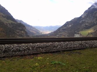 IMG_20201103_120746.jpg