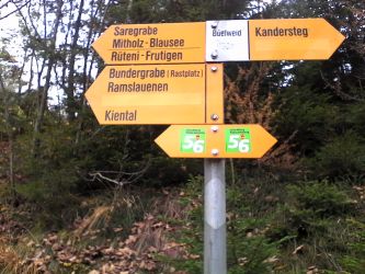 IMG_20201103_120836.jpg