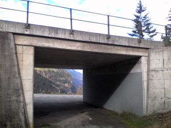 IMG_20201103_120856.jpg