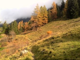 IMG_20201103_121135.jpg