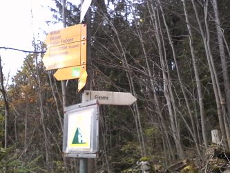 IMG_20201103_123312.jpg