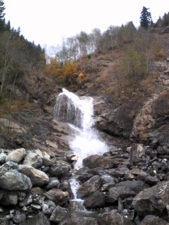 IMG_20201103_124049.jpg