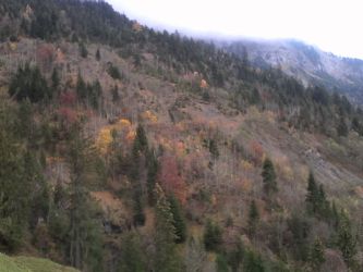 IMG_20201103_124809.jpg