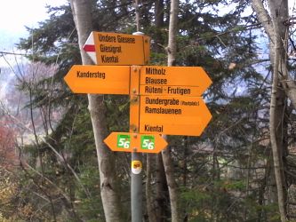IMG_20201103_125114.jpg