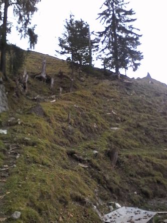 IMG_20201103_125136.jpg