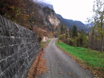 IMG_20201103_130359.jpg