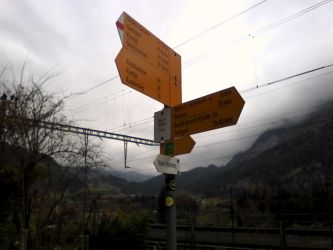 IMG_20201103_131628.jpg