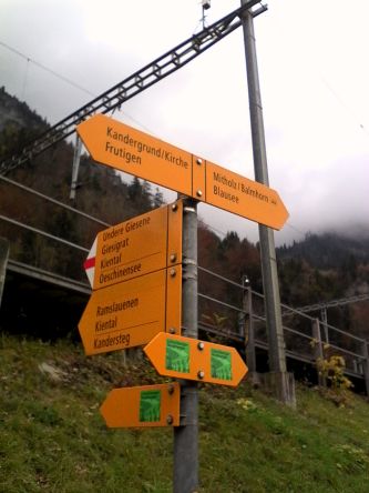 IMG_20201103_131842.jpg