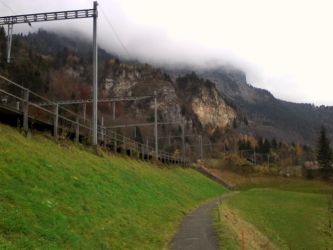 IMG_20201103_132026.jpg