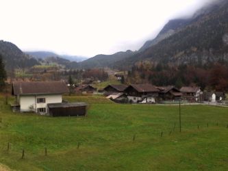 IMG_20201103_132039.jpg