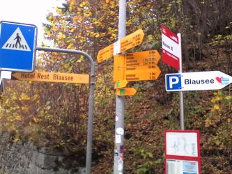IMG_20201103_133820.jpg