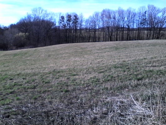 Dubina mezi Javorským a Klečkou