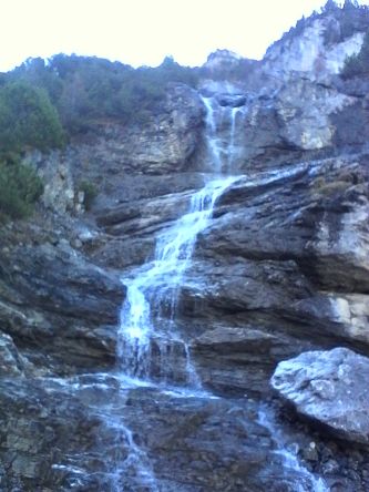 IMG_20201106_105945.jpg