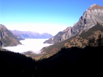 IMG_20201106_111902.jpg