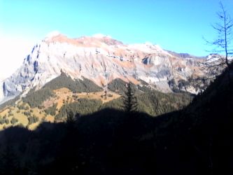 IMG_20201106_112100.jpg